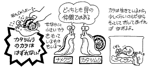 かたつむりとなめくじ 逗子市 葉山町などの不動産は住和不動産